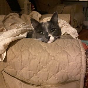 Meet your Posher, Brianna